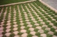 草坪磚內草坪的建植和管理技術